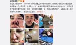 东北人郑州爆料视频播放,视频播放背后的故事揭秘