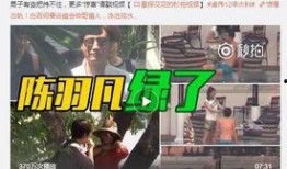 四川曹氏爆料事件视频最新,真相揭露与网络舆论风暴