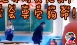 男子爆料体校老师视频播放,揭秘背后真相与反思