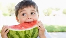 你的肥肥瓜免费吃,畅享美味无负担！