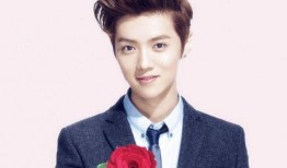 凯仔爆料鹿晗了吗视频,鹿晗最新动态揭秘