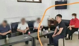 村支书真实爆料视频,农村现状与挑战深度剖析