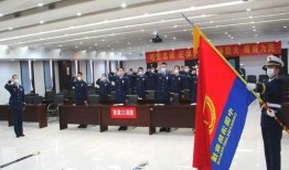 在线观看举旗定向,探索新时代媒体传播之道
