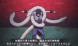 小李爆料仙人兜视频,仙人兜神秘视频曝光，真相令人震惊！