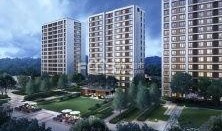 湖州房产爆料最新消息网