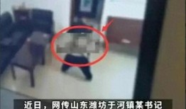 村支书真实爆料视频,农村现状与挑战深度剖析