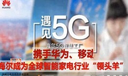 漂泊二代普工爆料视频,视频爆料背后的心酸与希望