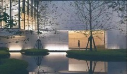 中国特摄剧爆料最新消息,神秘角色登场，剧情反转再掀热潮！