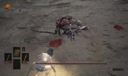 黑龙爆料假拳视频大全播放,假拳视频大全播放背后的真相