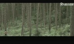 愤怒的画家在线观看,艺术激情与内心风暴的交织