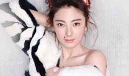 媒体爆料张雨绮事件视频,真相与争议再引热议