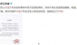 吃瓜娱乐圈文档,揭秘“吃瓜”背后的真相与内幕