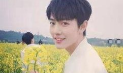 阿飞爆料杨紫肖战的视频,阿飞爆料视频曝光幕后真相