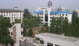 内乡一高最新爆料,揭秘校园风云背后的故事