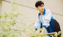 林泽爆料视频大全集,揭秘幕后真相与精彩瞬间