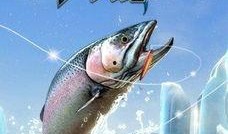 钓鱼大师爆料视频,视频爆料背后的钓鱼奥秘