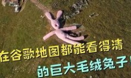 飞行兔子在线观看,飞行兔子在线观看之旅
