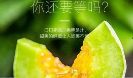 在哪吃网红的瓜,探寻“在哪吃网红的瓜”背后的故事