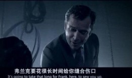 特工327在线观看,暗影行动，揭秘神秘任务背后的惊险历程