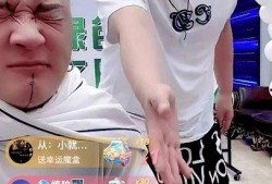 爆料二驴出车祸了吗视频