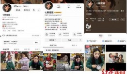 爆料博主的视频怎么拍,如何打造引人入胜的概述文章副标题