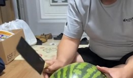 网红吃瓜打包图片真实,打包美食与娱乐的双重盛宴