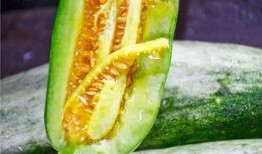 在哪吃网红的瓜,探寻“在哪吃网红的瓜”背后的故事