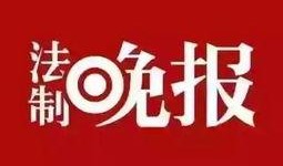 东莞生活新闻爆料,揭秘近期热点事件背后的真相
