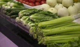 南方电网吃瓜娱乐酱,吃瓜娱乐酱，揭秘电力行业趣味瞬间