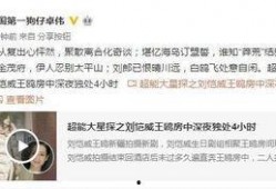 王温暖爆料视频大全集,揭秘背后真相与情感纠葛