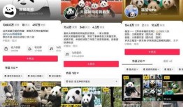 熊猫家族成员爆料视频大全,爆笑视频大全幕后故事