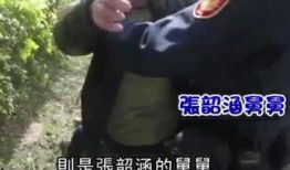 怎么看舅舅爆料的视频,揭开事件背后惊人真相