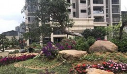 联兴花园事件爆料回应视频,真相与争议的交锋