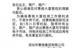 隔壁村大聪明最新爆料,惊天秘密曝光，真相令人震惊！
