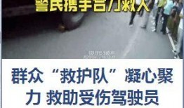 宁德最新爆料事件,揭秘事件背后惊人真相