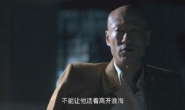 特工327在线观看,暗影行动，揭秘神秘任务背后的惊险历程