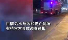 广东梅州爆料事件真相视频,真相视频曝光背后的真相
